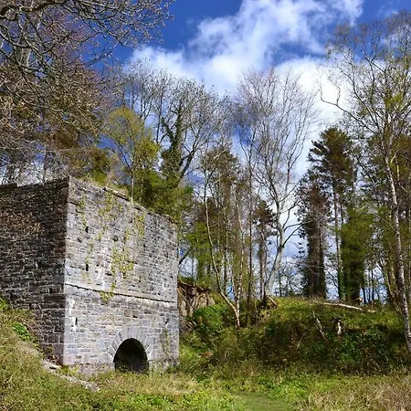 Albergue International