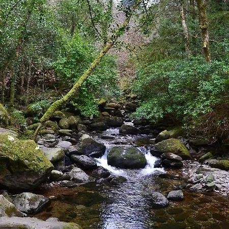 Albergue International Killarney
