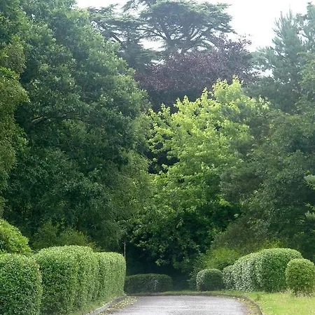 International Albergue *