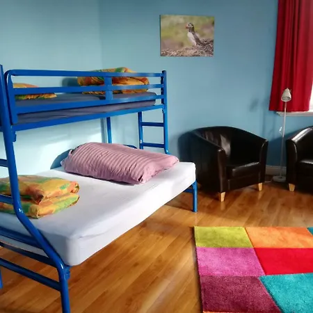 International Killarney