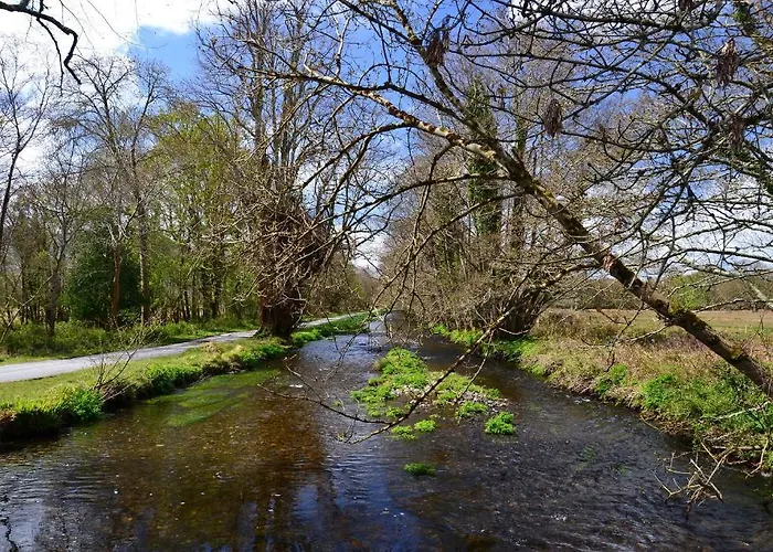 International Auberge de jeunesse