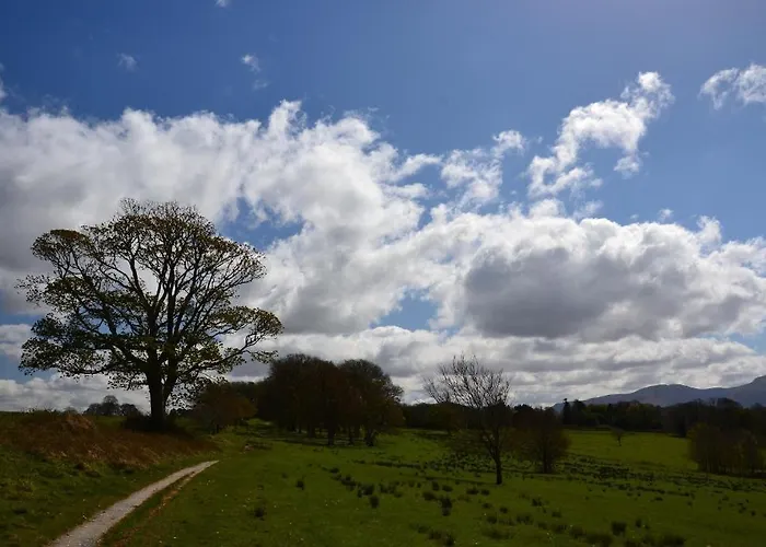Killarney International Hostel *