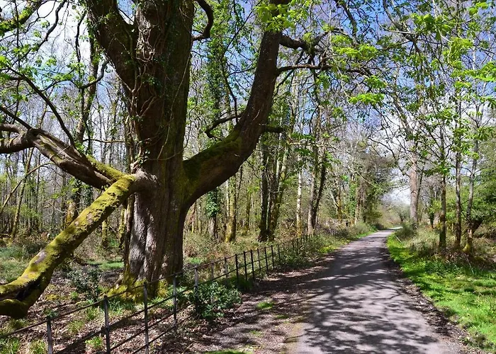 Killarney International Hostel