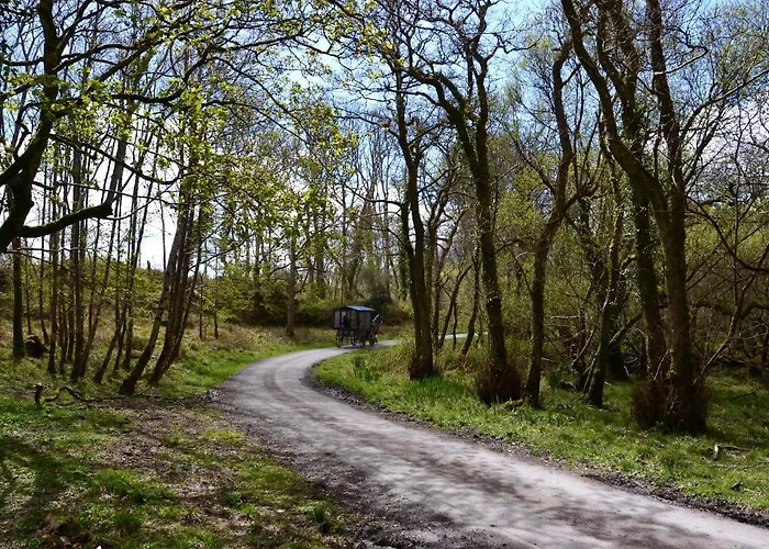 Killarney International Hostel * Killarney