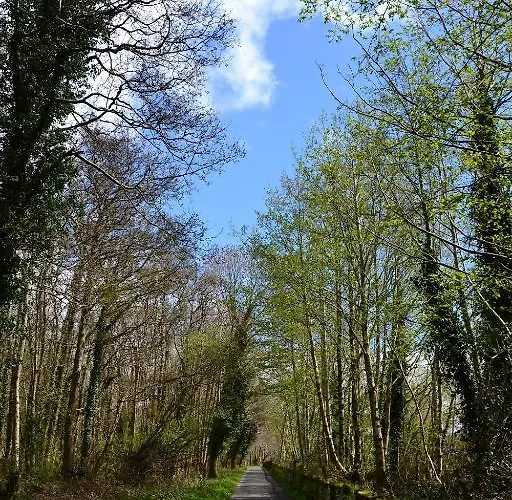 Killarney International Hostel Hostel Killarney