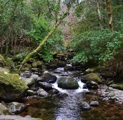 Hostel Killarney International Hostel Killarney