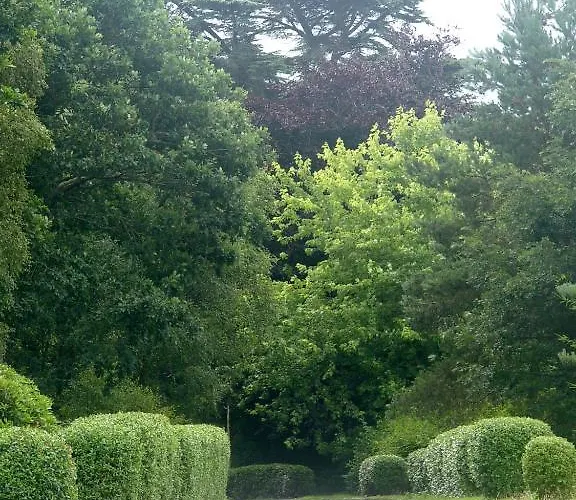 International Auberge de jeunesse *