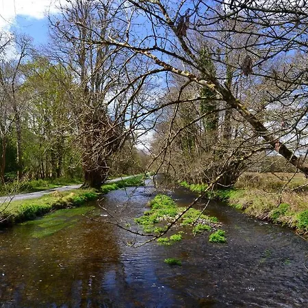 International بيت شباب