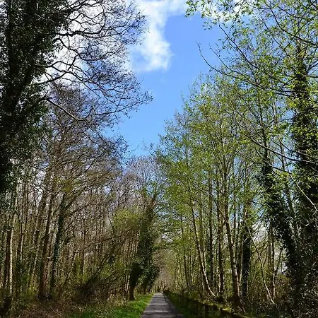 International بيت شباب كيلارني