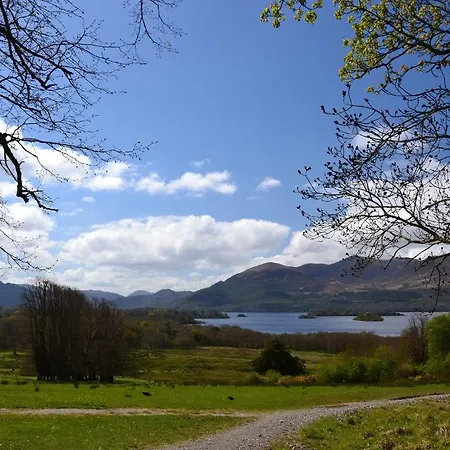 International بيت شباب