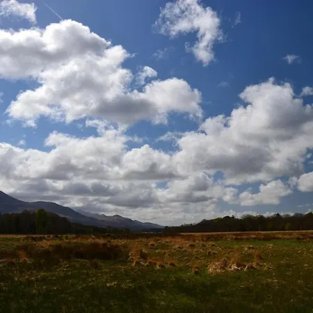 بيت شباب International *