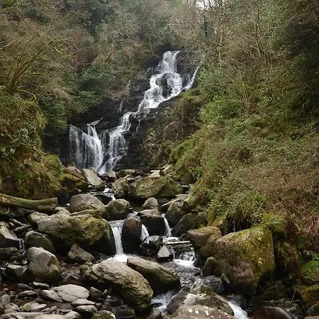 بيت شباب International *