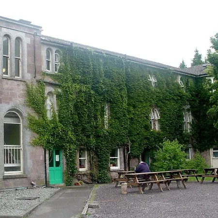 International * كيلارني