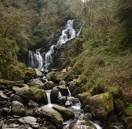 旅馆 International *