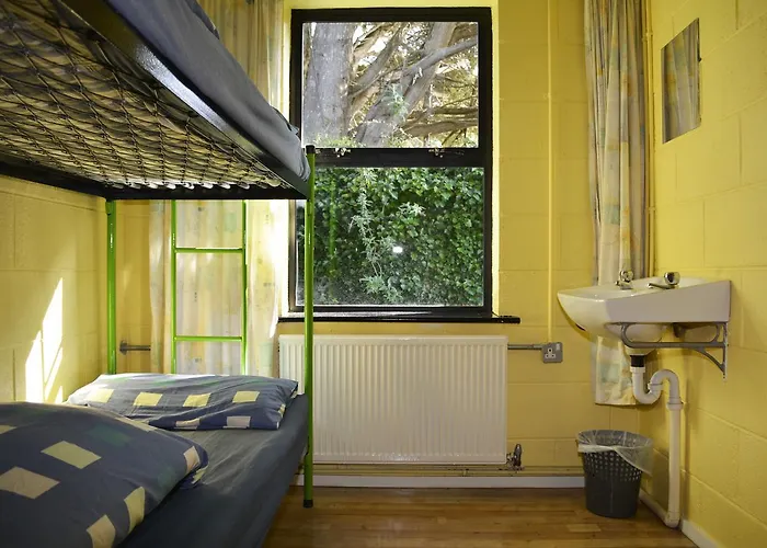 International 旅馆 *