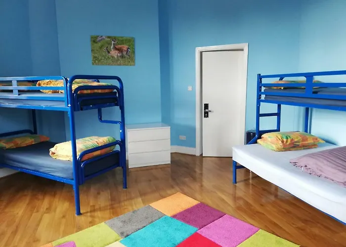 International 旅馆 基拉尼